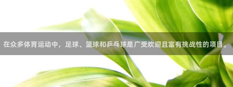 海南oety欧亿体育官网下载发展怎么样：在众多体育运