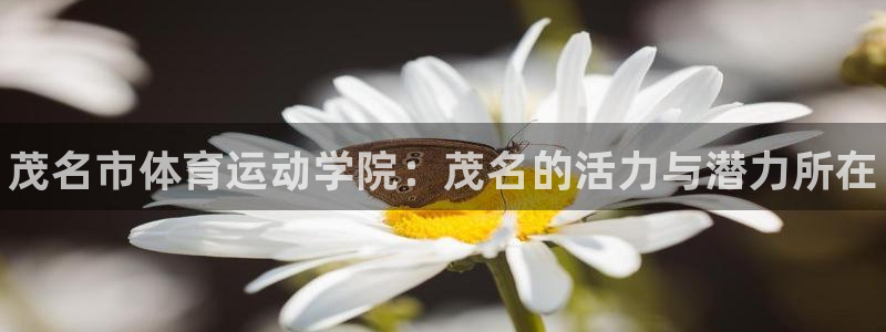 oety欧亿体育官网下载招商电话号码：茂名市体育运动