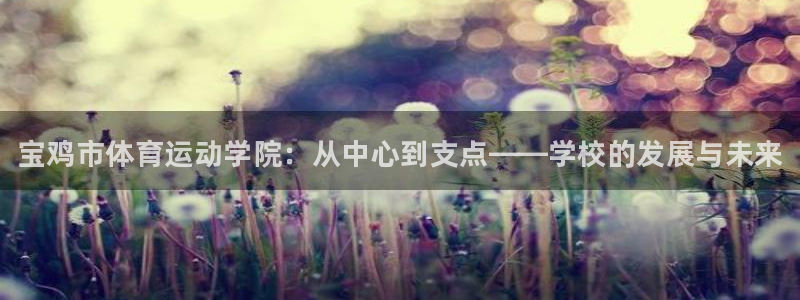 德国欧亿体育官方正版app集团：宝鸡市体育运动学院：