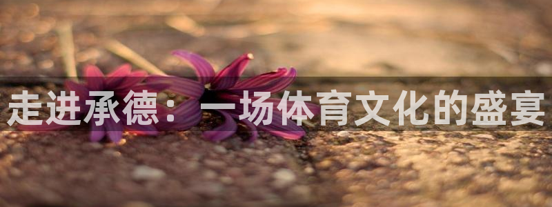 oety欧亿体育官网下载招商电话：走进承德：一场体育