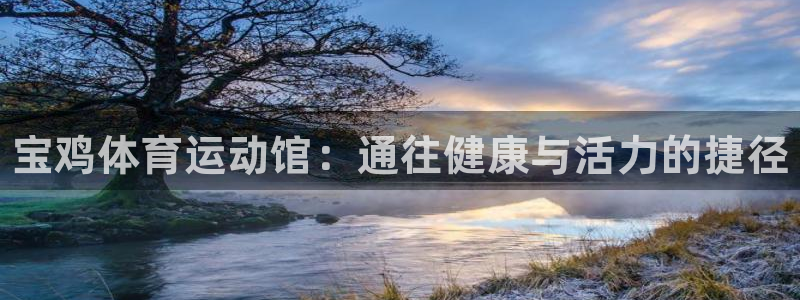 欧亿体育官方正版app集团E.ON：宝鸡体育运动馆：