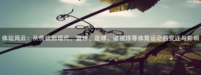 欧亿体育官方正版app集团官网首页网址：体坛风云：从