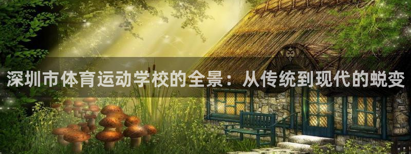 欧亿体育官方正版app娱乐代理怎么样：深圳市体育运动