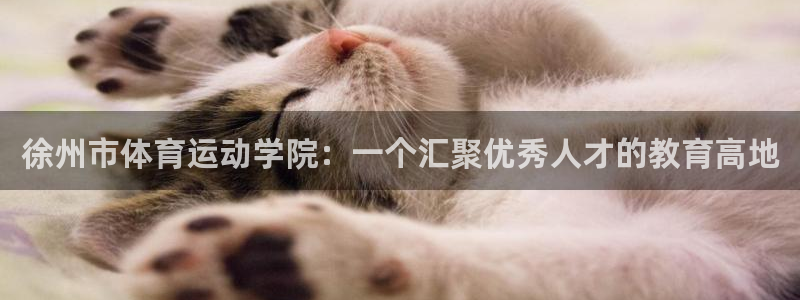 欧亿体育官方正版app集团logo：徐州市体育运动学院：一个
