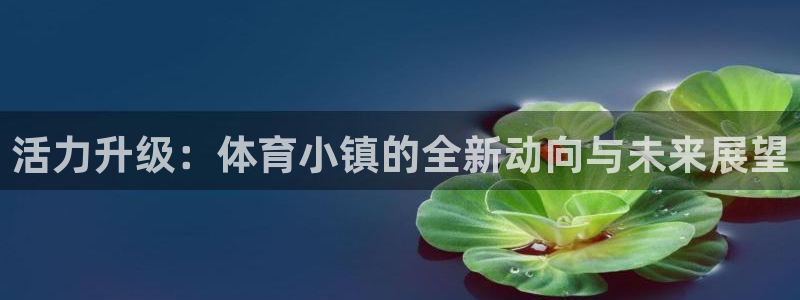 oety欧亿体育官网下载平台注册流程图：活力升级：体