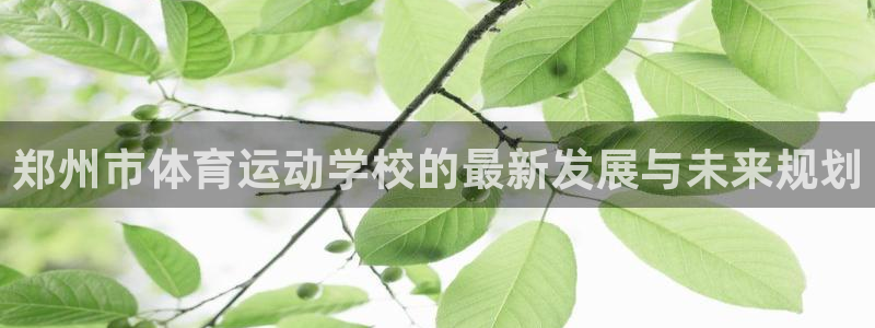 欧亿体育官方正版app官网