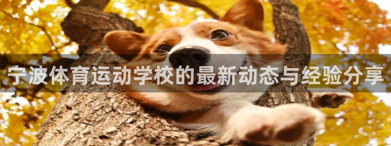 欧亿体育官方正版app集团：宁波体育运动学校的最新动态与经验