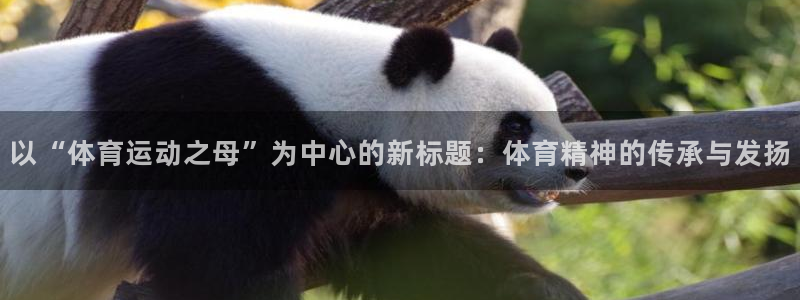 欧亿官网下载教程电脑.官网app.中