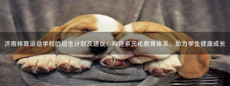 OE欧亿·(中国)体育官方网站：济南