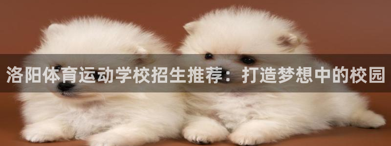 欧亿3平台在线登录注册：洛阳体育运动