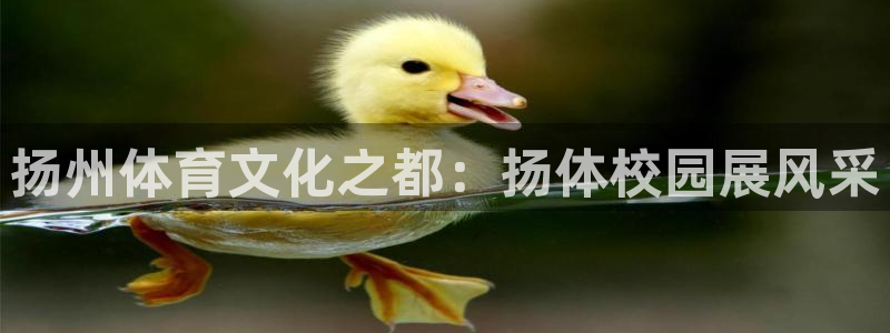欧亿科技最新消息：扬州体育文化之都：