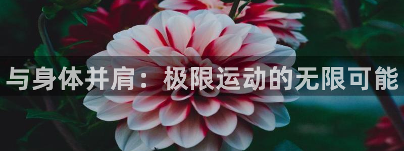 OE欧亿APP下载：与身体并肩：极限